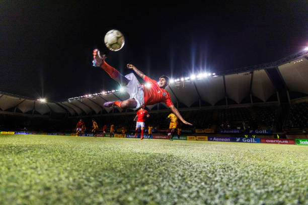 能错过的文 能错过的文